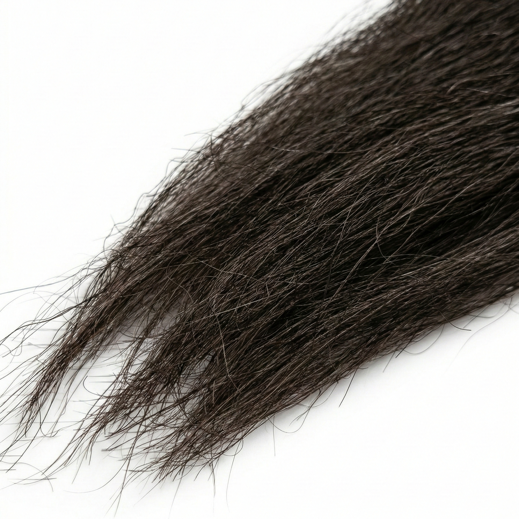 Esox Yak