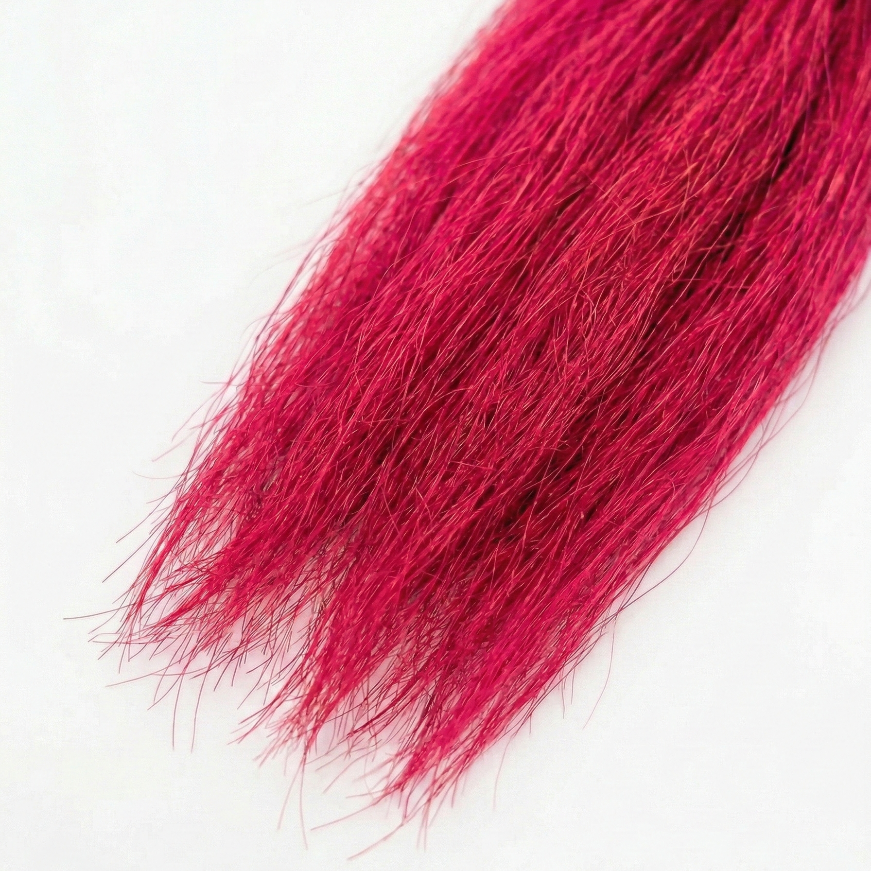 Esox Yak