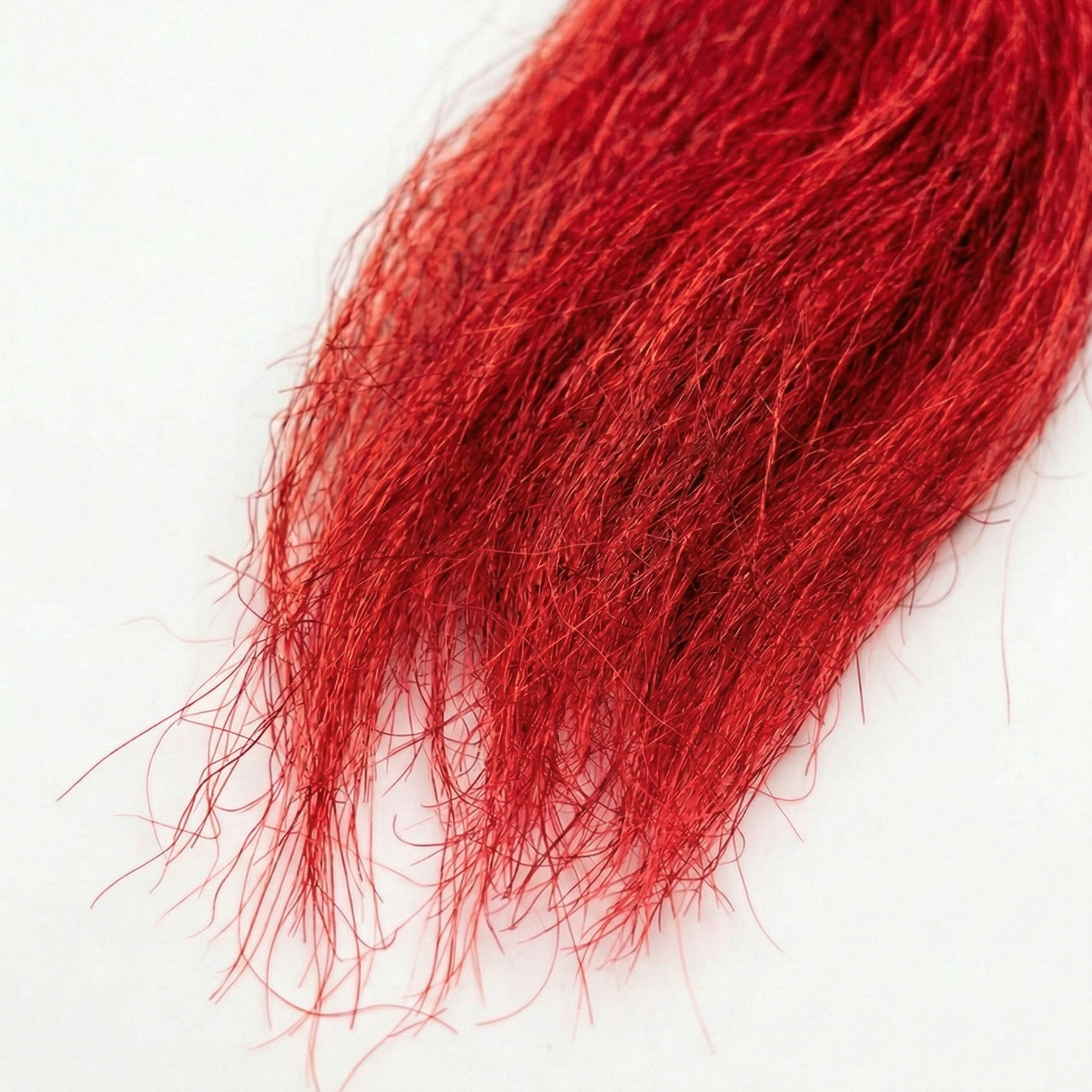Esox Yak