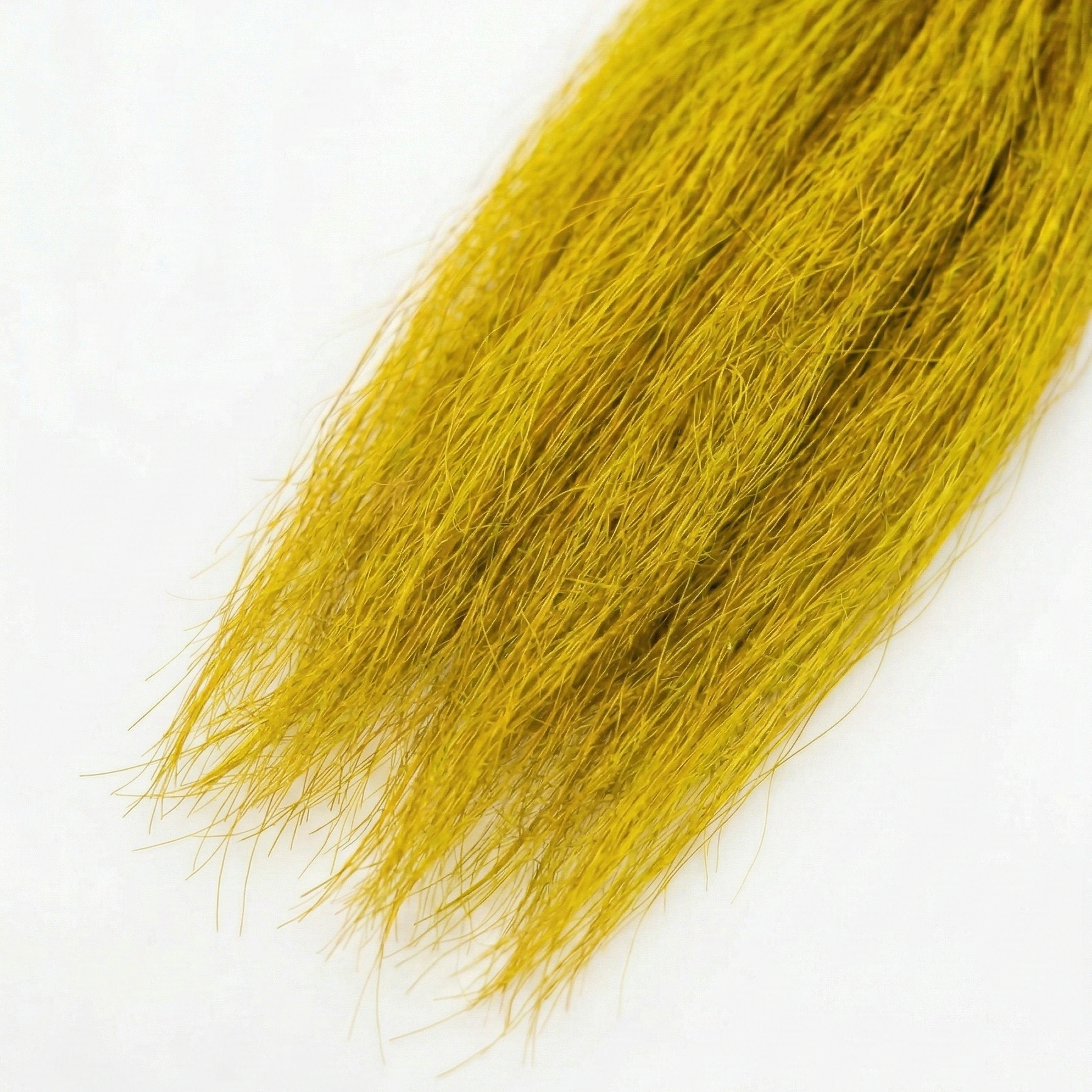Esox Yak